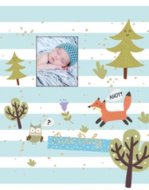 Альбом UFO 20sheet S22x32 Blue fox